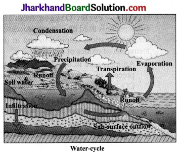 JAC Class 9th Science Solutions Chapter 14 Natural Resources 5