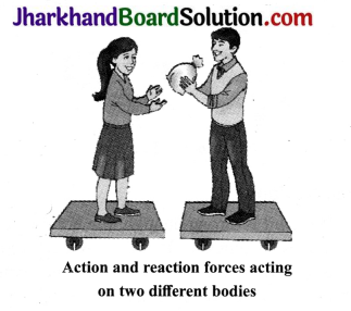 JAC Class 9th Science Solutions Chapter 9 Force and Laws of Motion 11