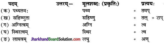 JAC Class 10 Sanskrit Solutions Chapter 3 व्यायामः सर्वदा पथ्यः 2