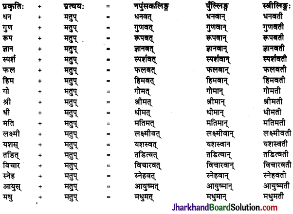 JAC Class 10 Sanskrit व्याकरणम् प्रत्ययज्ञानम् 12
