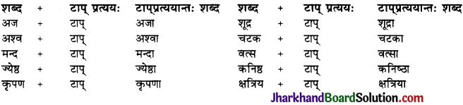 JAC Class 10 Sanskrit व्याकरणम् प्रत्ययज्ञानम् 15