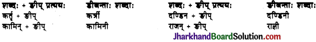 JAC Class 10 Sanskrit व्याकरणम् प्रत्ययज्ञानम् 17