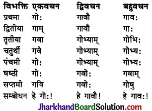 JAC Class 10 Sanskrit व्याकरणम् शब्दरूप प्रकरणम् 5