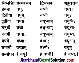 JAC Class 10 Sanskrit व्याकरणम् शब्दरूप प्रकरणम् 8
