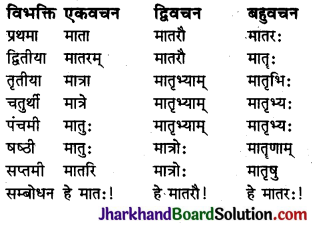 JAC Class 10 Sanskrit व्याकरणम् शब्दरूप प्रकरणम् 9