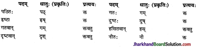 JAC Class 9 Sanskrit Solutions Chapter 7 प्रत्यभिज्ञानम् 5