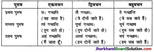 JAC Class 9 Sanskrit रचना अनुवाद-प्रकरणम् 3