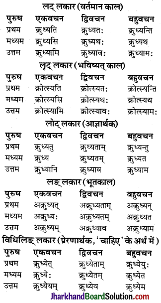 JAC Class 9 Sanskrit व्याकरणम् धातुरूप-प्रकरणम् 13