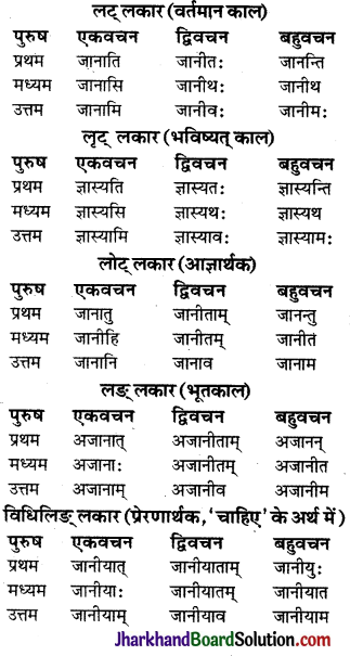 JAC Class 9 Sanskrit व्याकरणम् धातुरूप-प्रकरणम् 15