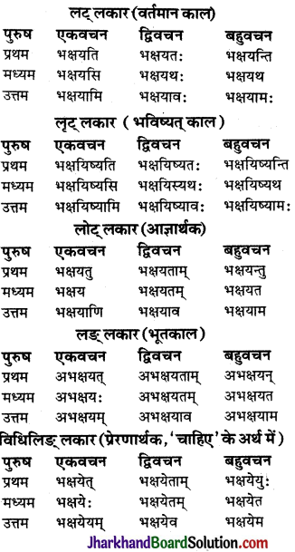 JAC Class 9 Sanskrit व्याकरणम् धातुरूप-प्रकरणम् 16
