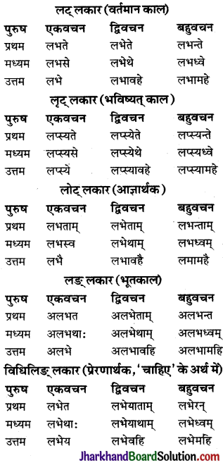 JAC Class 9 Sanskrit व्याकरणम् धातुरूप-प्रकरणम् 19