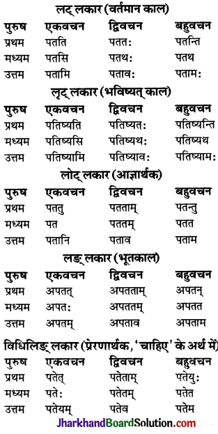 JAC Class 9 Sanskrit व्याकरणम् धातुरूप-प्रकरणम् 48
