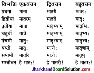 JAC Class 9 Sanskrit व्याकरणम् संज्ञा-शब्दरूप-प्रकरणम् 13