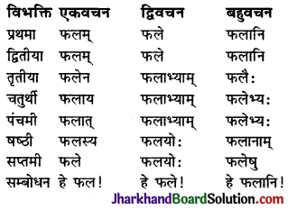 JAC Class 9 Sanskrit व्याकरणम् संज्ञा-शब्दरूप-प्रकरणम् 14