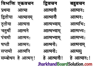 JAC Class 9 Sanskrit व्याकरणम् संज्ञा-शब्दरूप-प्रकरणम् 8