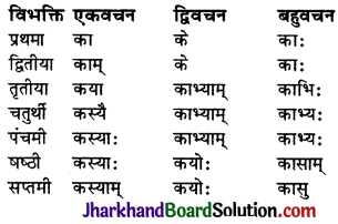 JAC Class 9 Sanskrit व्याकरणम् सर्वनाम शब्दरूप प्रकरणम् 19