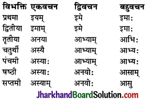 JAC Class 9 Sanskrit व्याकरणम् सर्वनाम शब्दरूप प्रकरणम् 6
