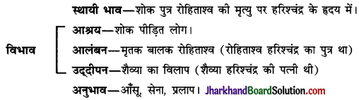 JAC Class 10 Hindi व्याकरण रस 11