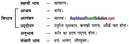 JAC Class 10 Hindi व्याकरण रस 46