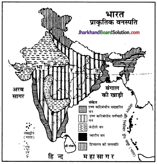 JAC Class 11 Geography Important Questions Chapter 5 प्राकृतिक वनस्पति 1
