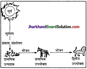 JAC Class 11 Geography Solutions Chapter 15 पृथ्वी पर जीवन 1