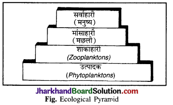 JAC Class 11 Geography Solutions Chapter 15 पृथ्वी पर जीवन 2