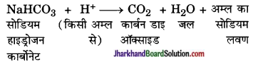 JAC Class 10 Science Important Questions Chapter 2 अम्ल, क्षारक एवं लवण 10