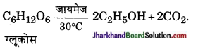 JAC Class 10 Science Important Questions Chapter 4 कार्बन एवं इसके यौगिक 23