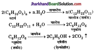 JAC Class 10 Science Important Questions Chapter 4 कार्बन एवं इसके यौगिक 31