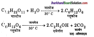 JAC Class 10 Science Important Questions Chapter 4 कार्बन एवं इसके यौगिक 35