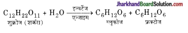 JAC Class 10 Science Important Questions Chapter 4 कार्बन एवं इसके यौगिक 57