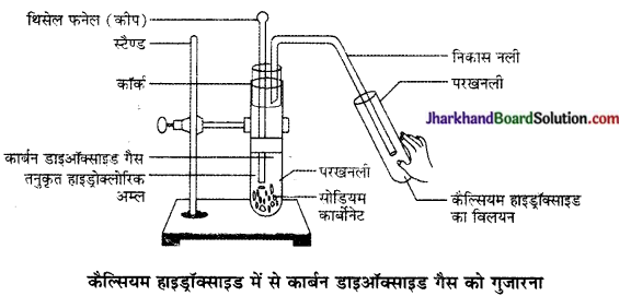 JAC Class 10 Science Solutions Chapter 2 अम्ल, क्षारक एवं लवण 5