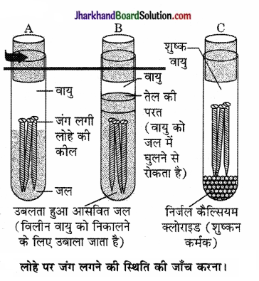 JAC Class 10 Science Solutions Chapter 3 धातु एवं अधातु 15