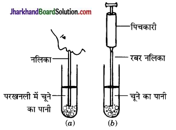 JAC Class 10 Science Solutions Chapter 6 जैव प्रक्रम 9