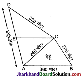JAC Class 9 Maths Important Questions Chapter 12 हीरोन का सूत्र - 10