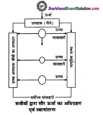 JAC Class 10 Science Important Questions Chapter 14 उर्जा के स्रोत 7
