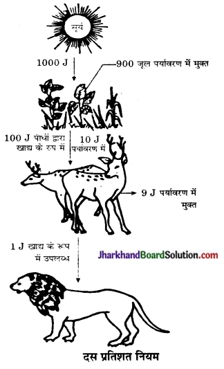 JAC Class 10 Science Important Questions Chapter 15 हमारा पर्यावरण 5