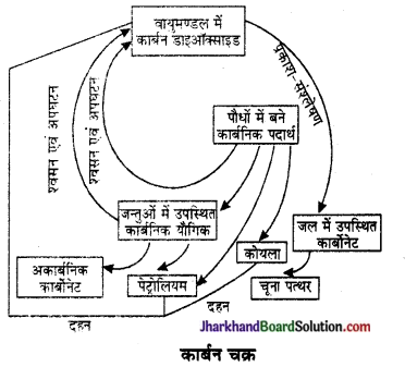 JAC Class 10 Science Important Questions Chapter 15 हमारा पर्यावरण 8