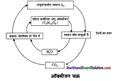 JAC Class 10 Science Important Questions Chapter 15 हमारा पर्यावरण 9