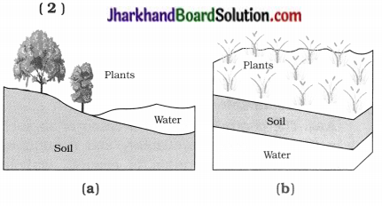 JAC Class 10 Science Important Questions Chapter 16 Management of Natural Resources 2
