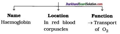 JAC Class 10 Science Important Questions Chapter 6 Life Processes 7