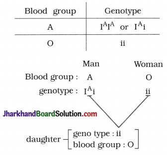 JAC Class 10 Science Solutions Chapter 9 Heredity and Evolution 3
